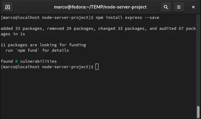 Installo Express tramite il comando npm